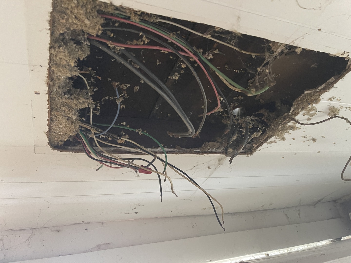 501 E Mulberry Street, Bloomington, IL 61701