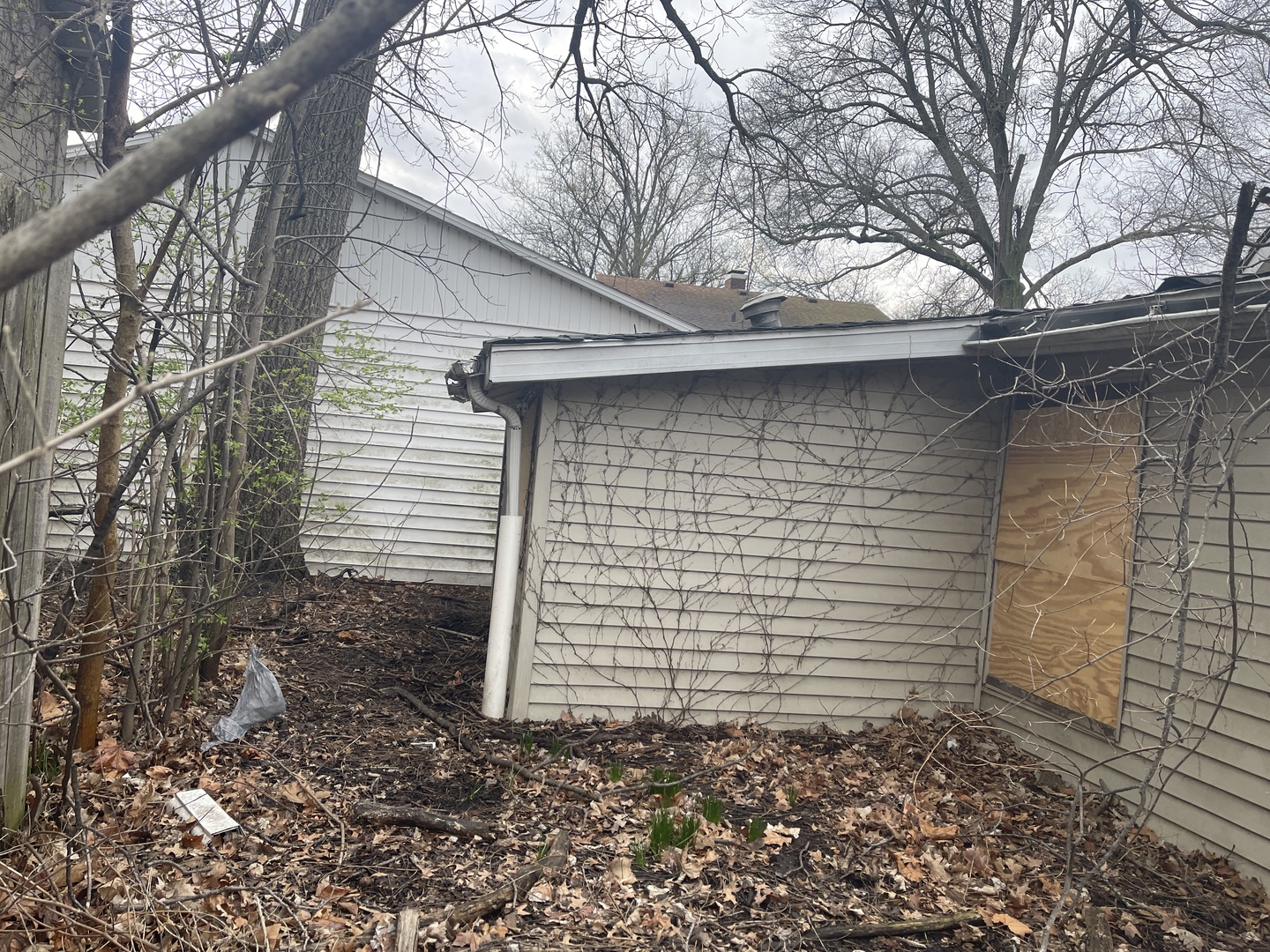 501 E Mulberry Street, Bloomington, IL 61701