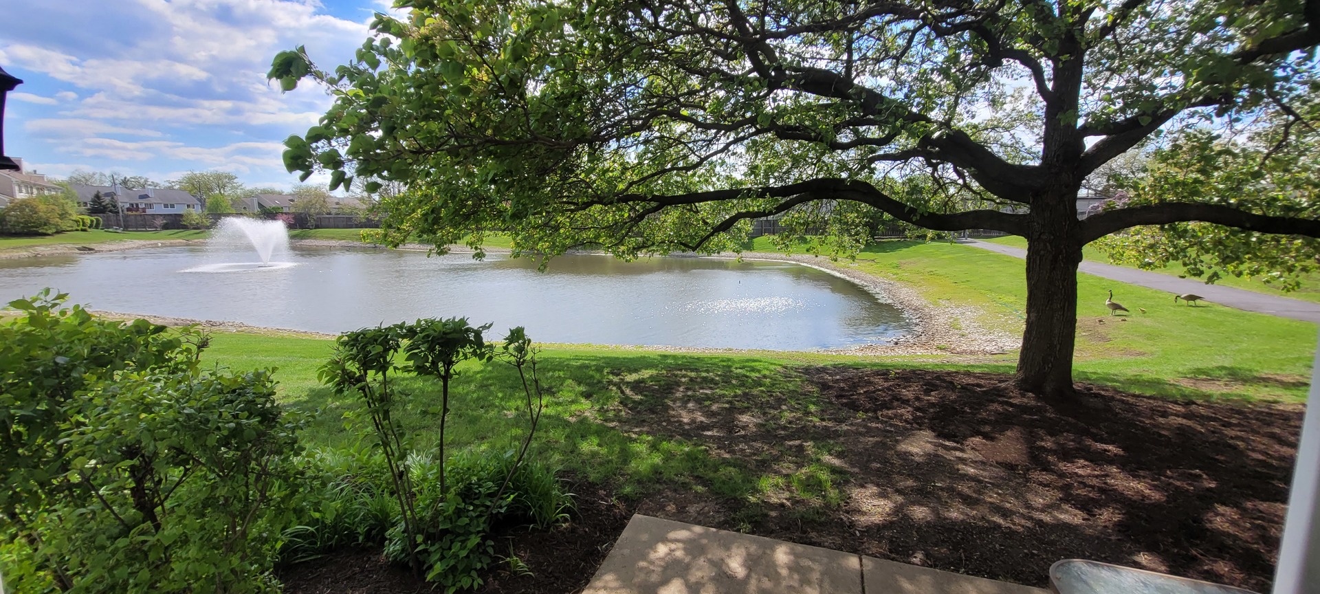 1115 E Cambria Lane, Lombard, IL 60148