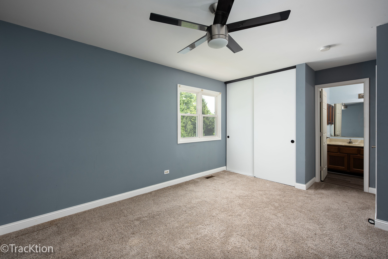 1309 Monmouth Avenue, Naperville, IL 60565