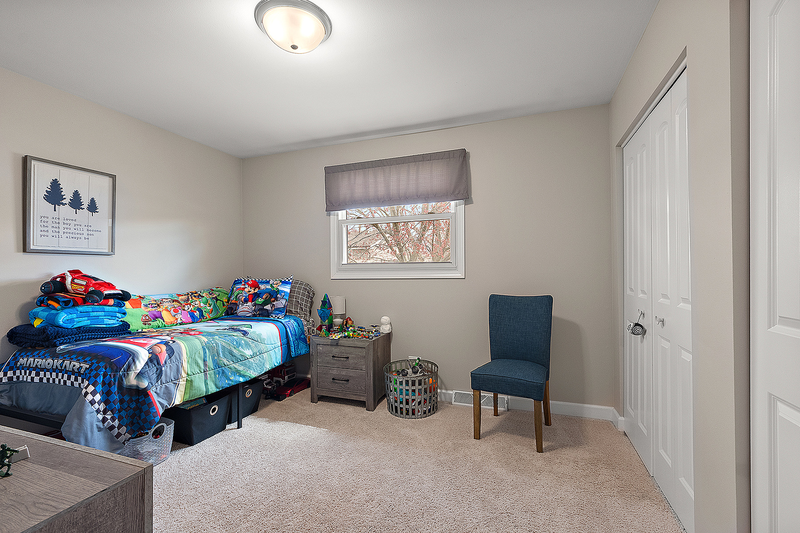 13735 W Cavecreek Court, Homer Glen, IL 60491