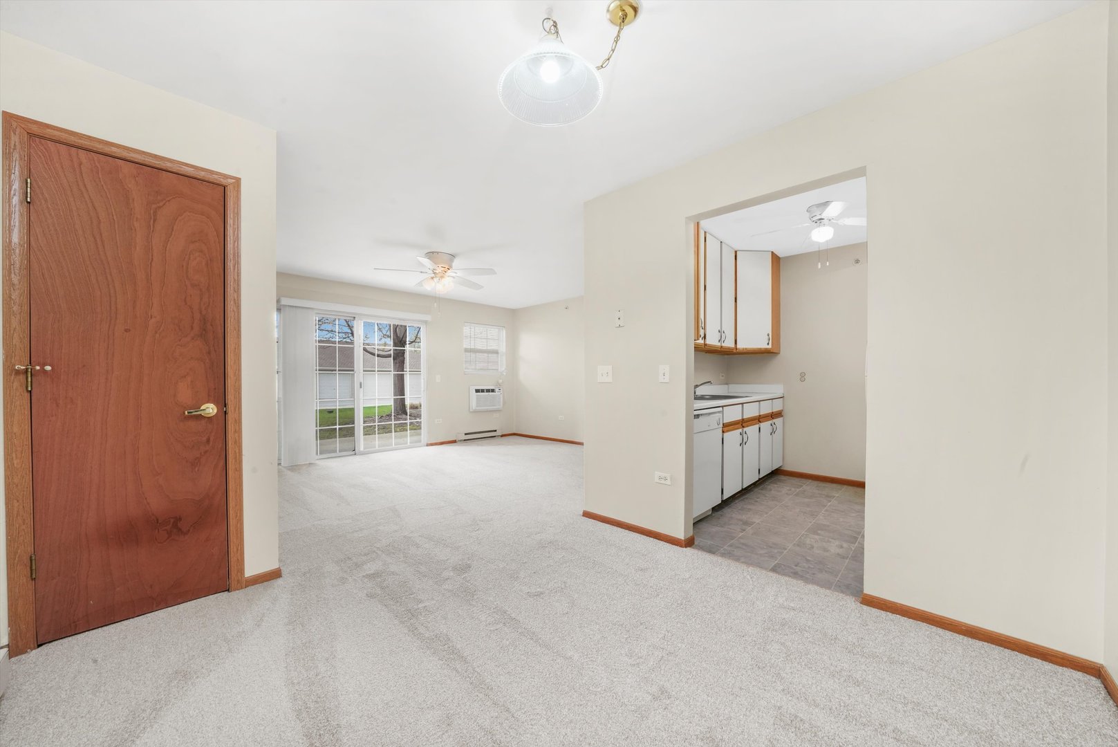 1520 W Sand Bar Court #1B, Round Lake Beach, IL 60073
