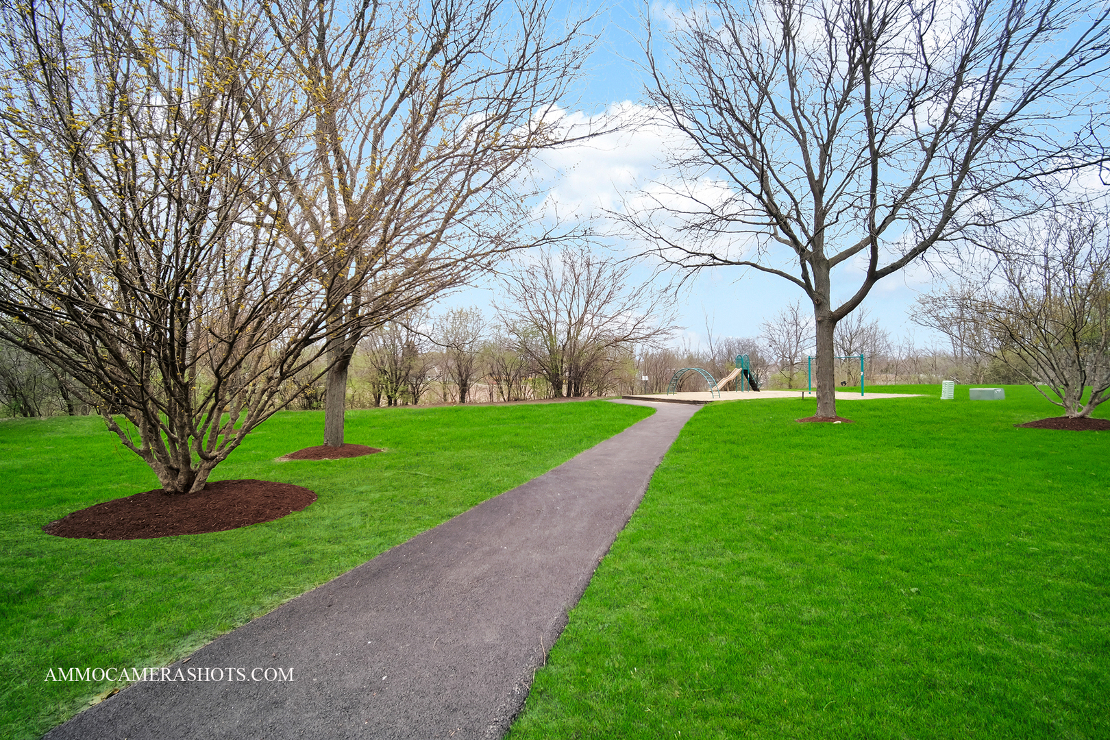 31505 Kline Circle #31505, Warrenville, IL 60555