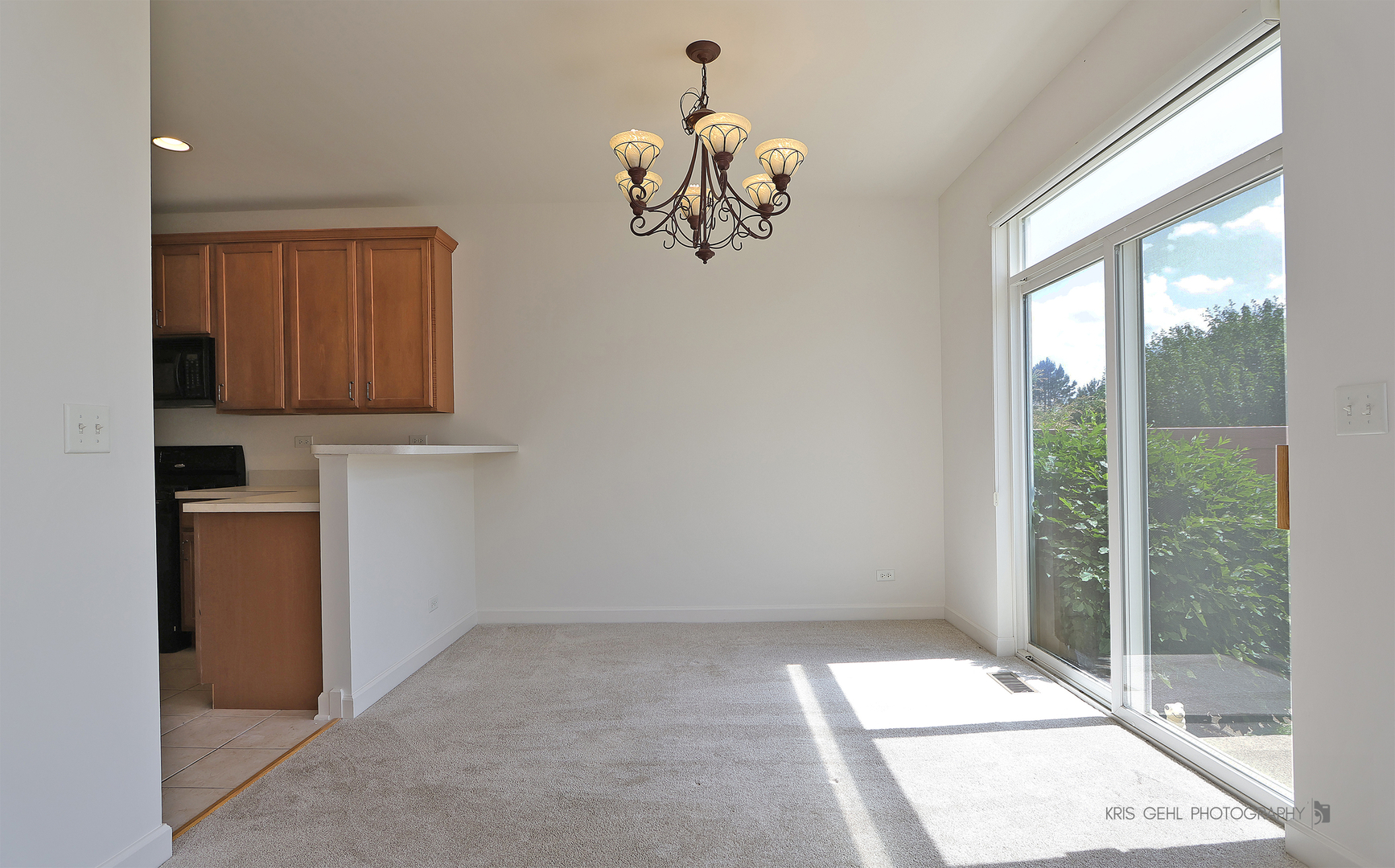 2850 Cattail Court #C, Wauconda, IL 60084