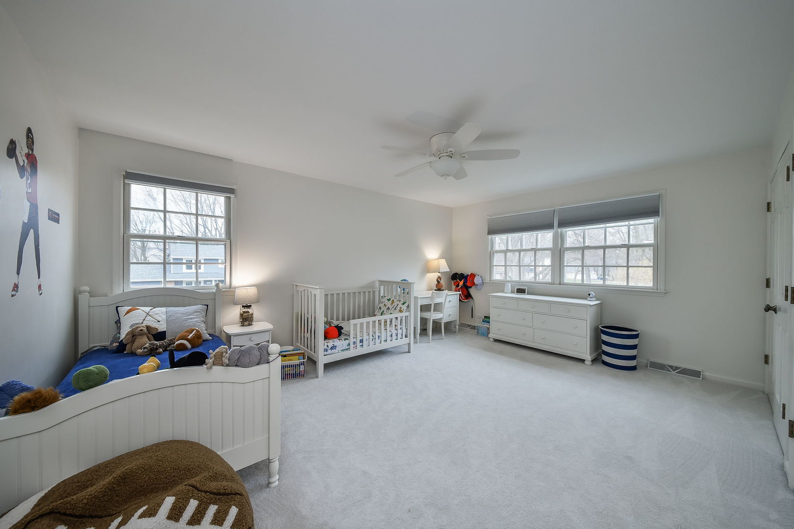 1007 Canonero Drive, Naperville, IL 60540