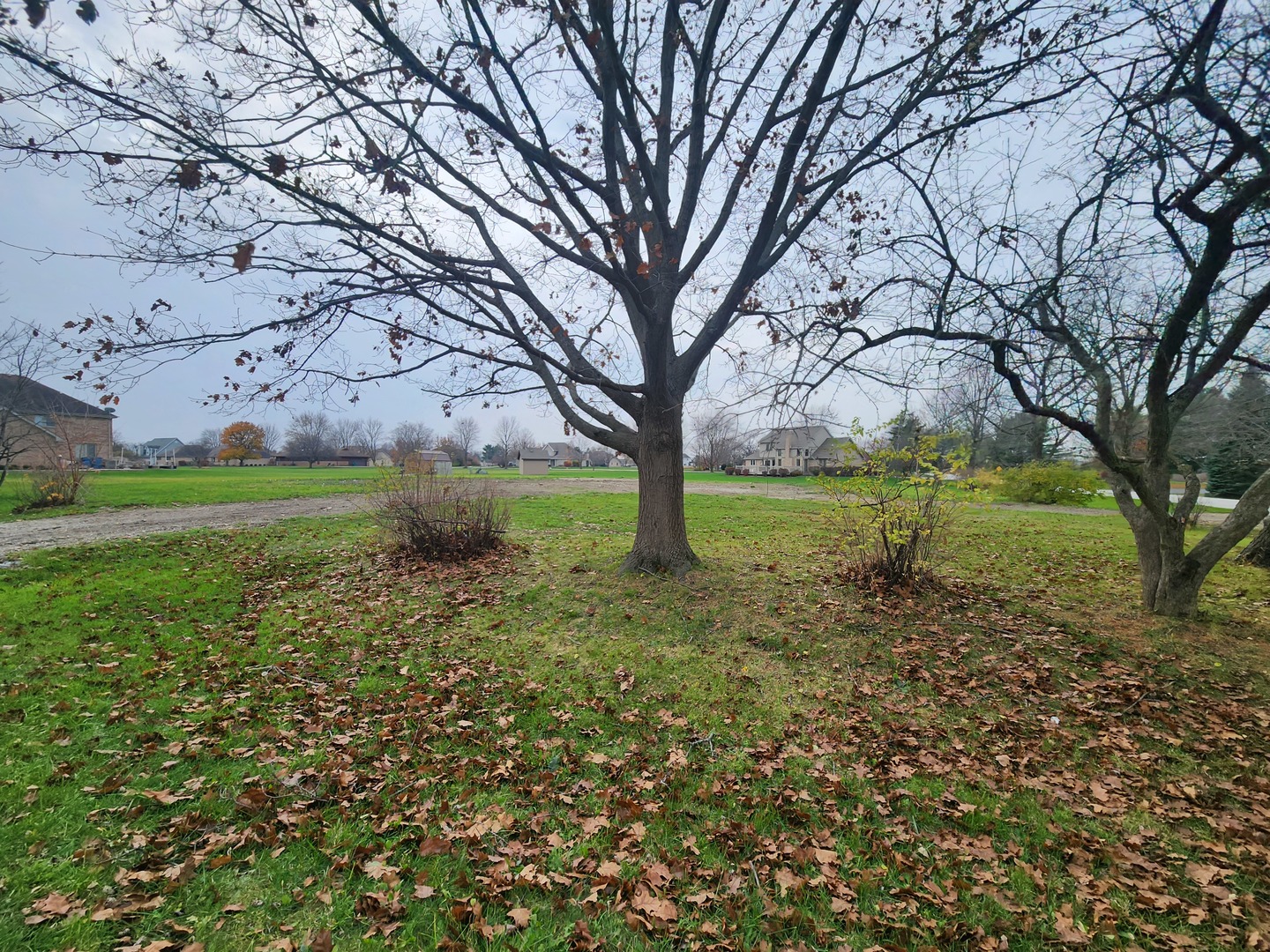 26114 S Victoria Lane, Crete, IL 60417
