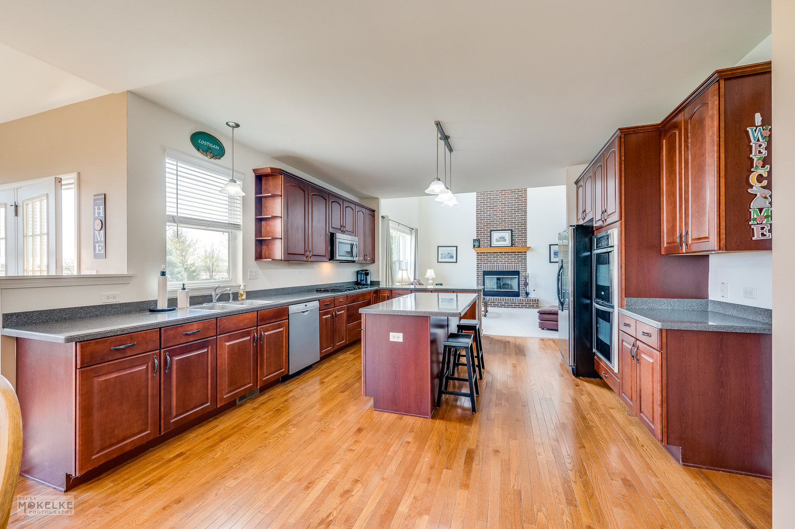 846 Preston Lane, Oswego, IL 60543