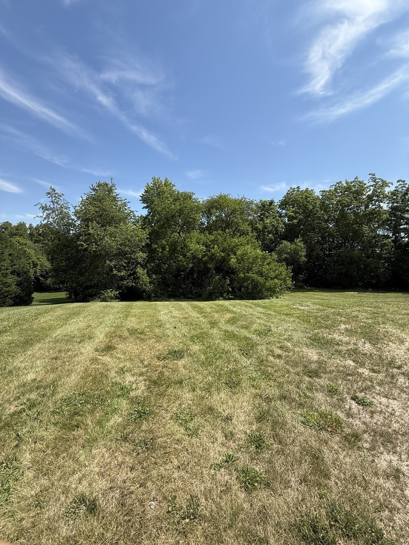 LOT 63 and 78 Cobble Creek Lane, Heyworth, IL 61745