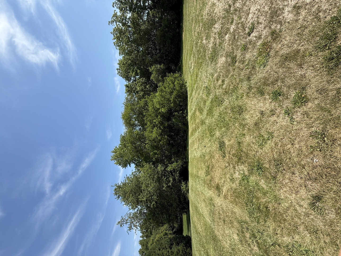 LOT 63 and 78 Cobble Creek Lane, Heyworth, IL 61745