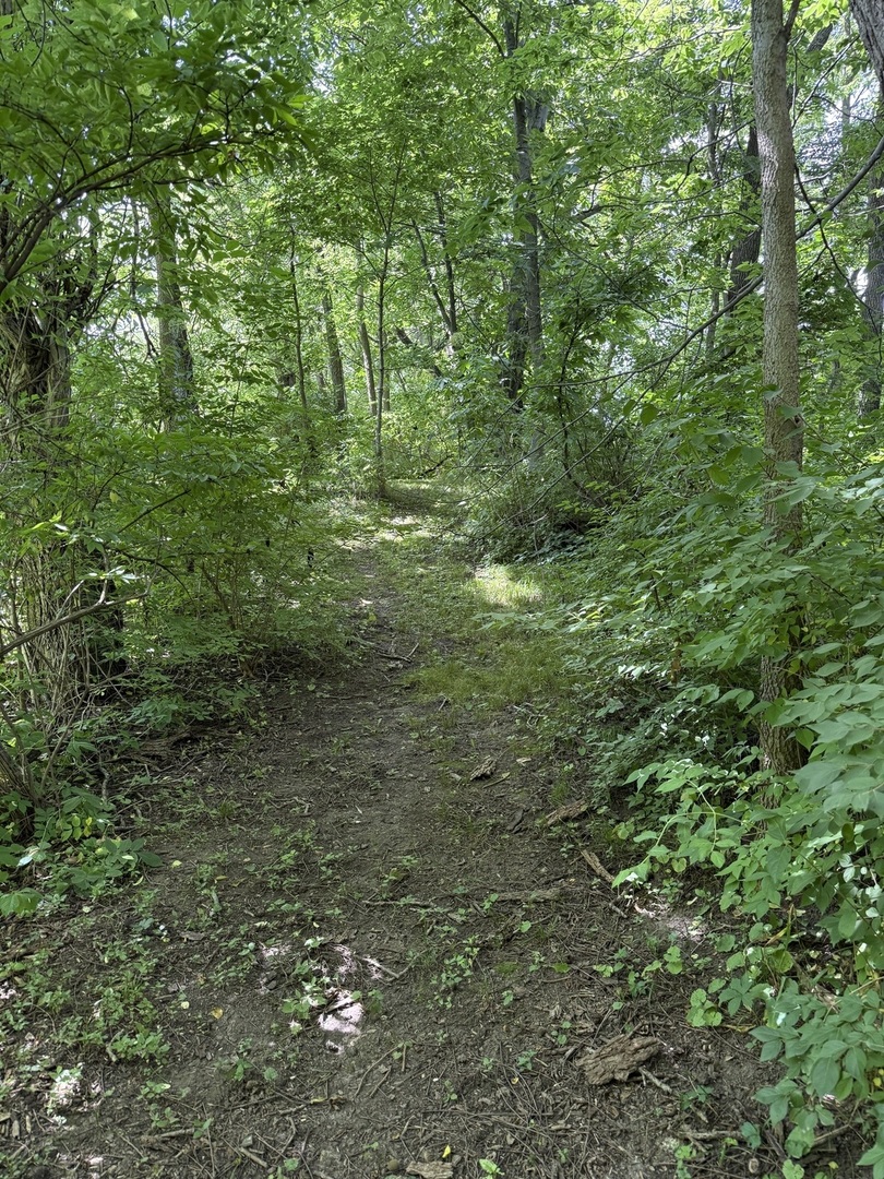 LOT 63 and 78 Cobble Creek Lane, Heyworth, IL 61745