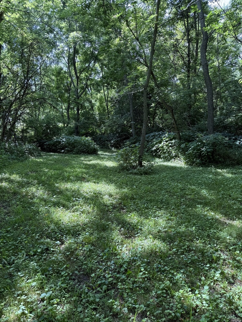 LOT 63 and 78 Cobble Creek Lane, Heyworth, IL 61745