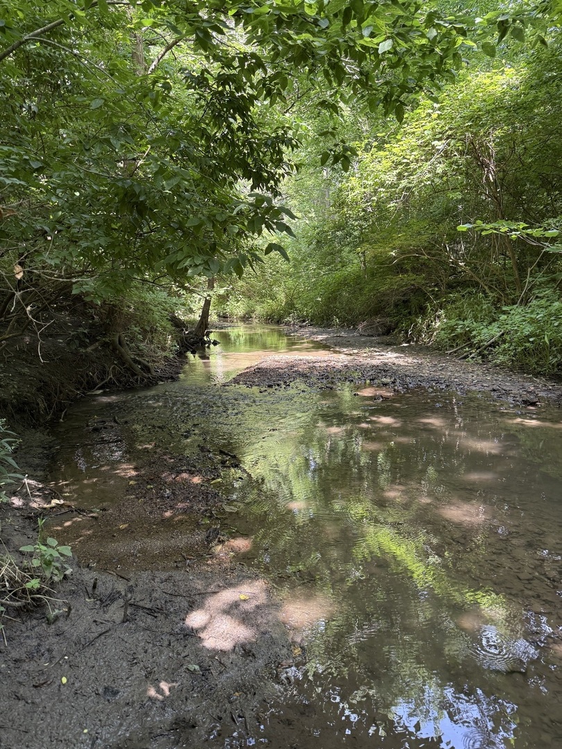 LOT 63 and 78 Cobble Creek Lane, Heyworth, IL 61745