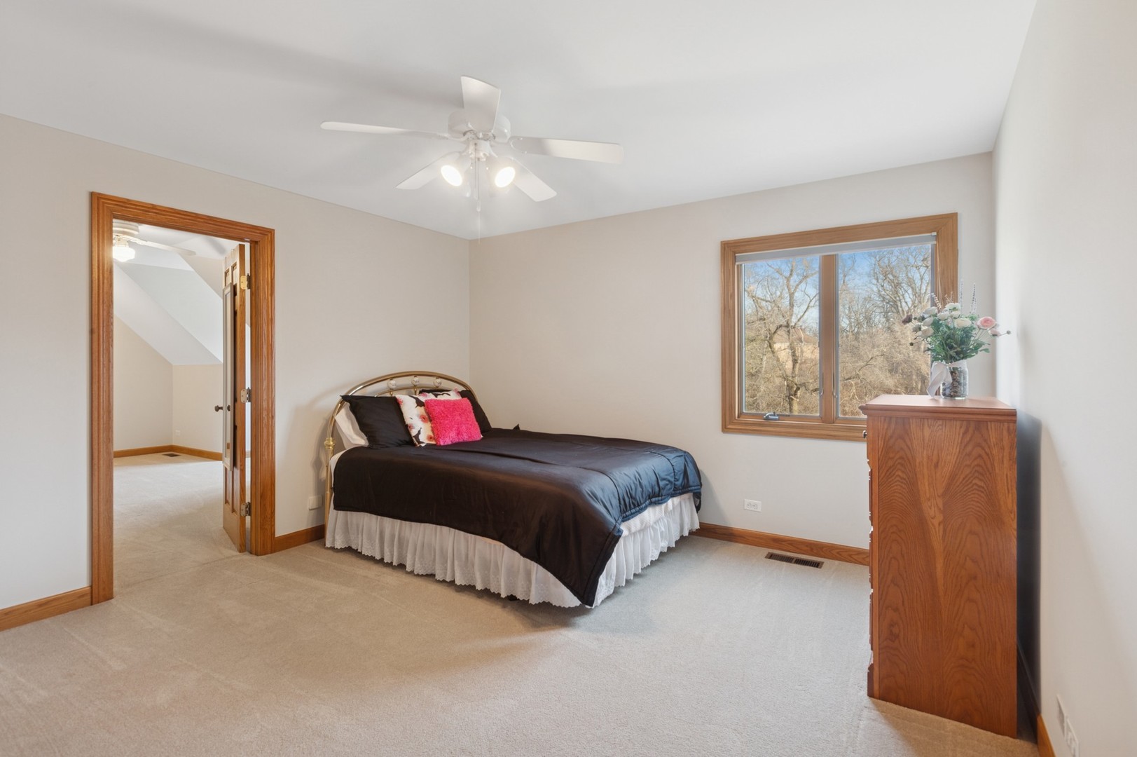3801 Dillon Court, Downers Grove, IL 60515