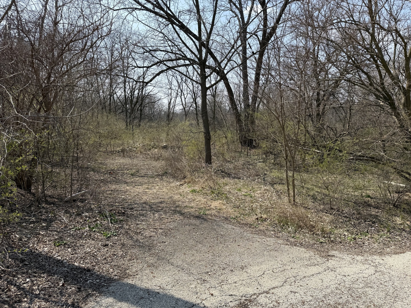 123 W Benton Street, Oswego, IL 60543