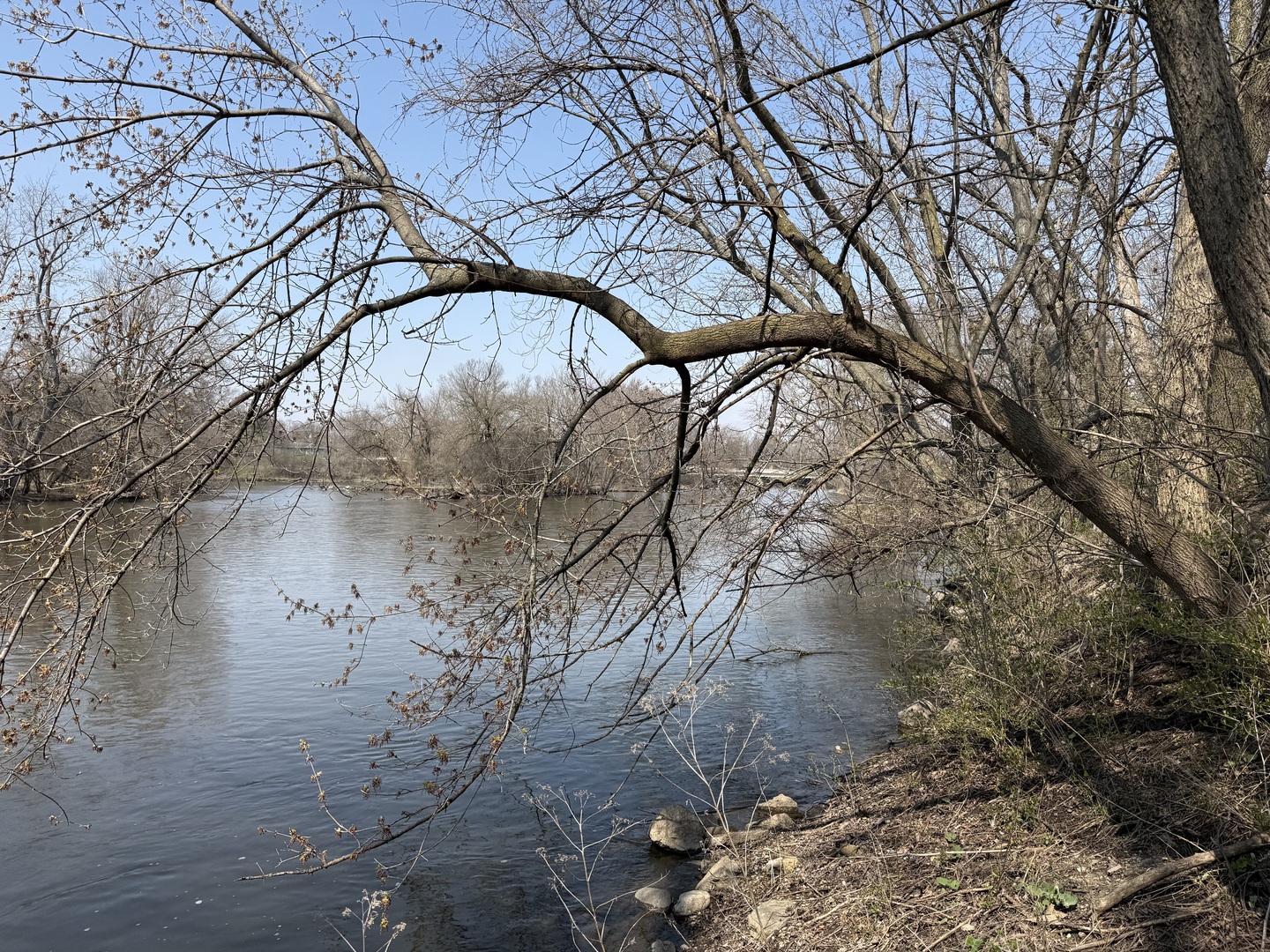 123 W Benton Street, Oswego, IL 60543