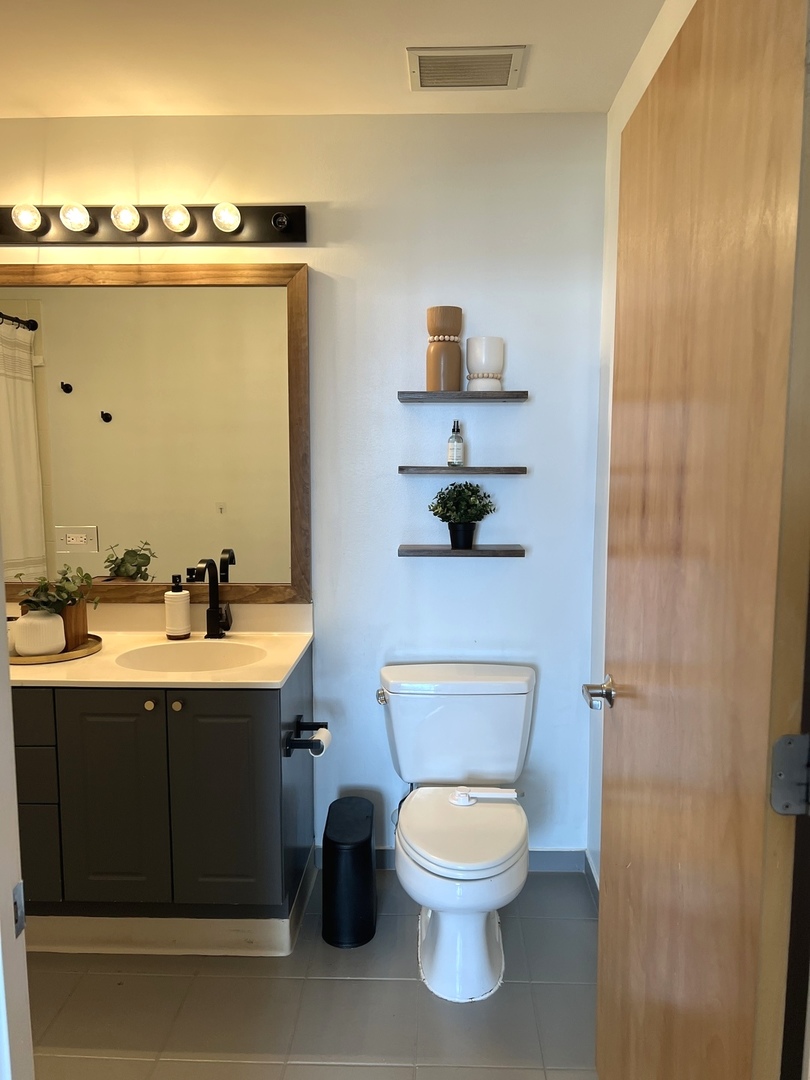 1720 S Michigan Avenue #3210, Chicago, IL 60616