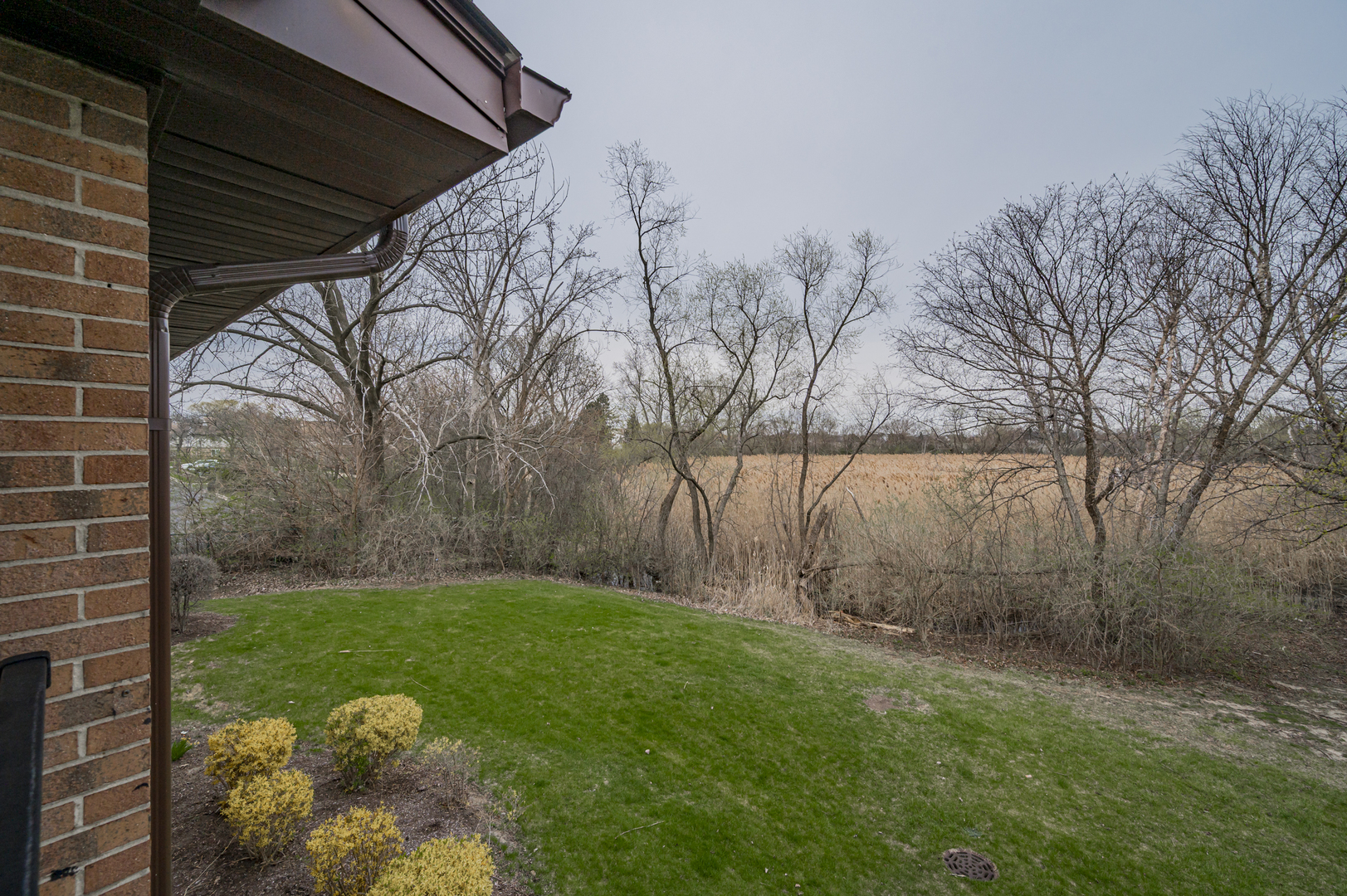 8101 Piers Drive #1806, Woodridge, IL 60517