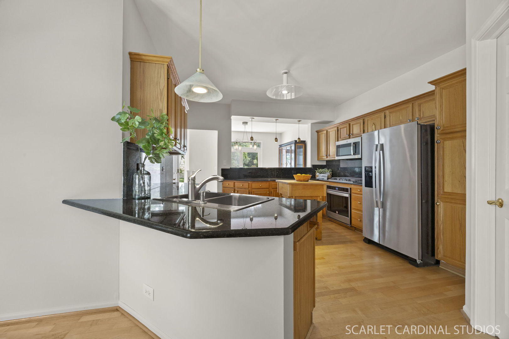 1520 Longbranch Court, Naperville, IL 60565