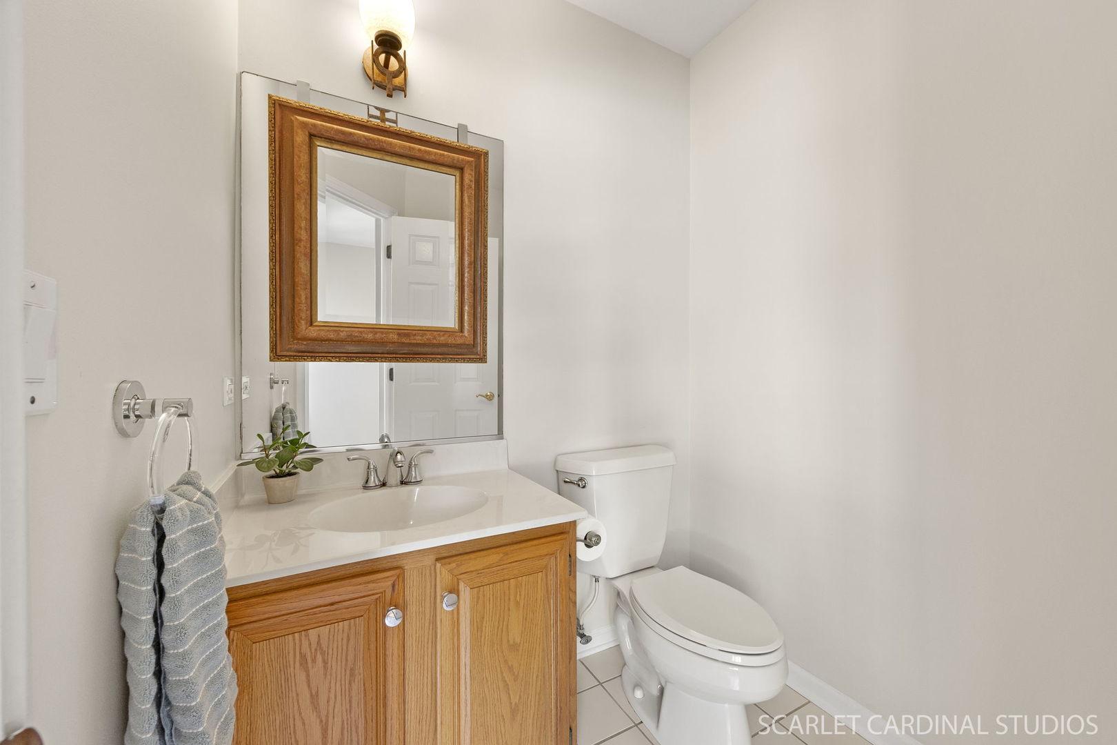 1520 Longbranch Court, Naperville, IL 60565