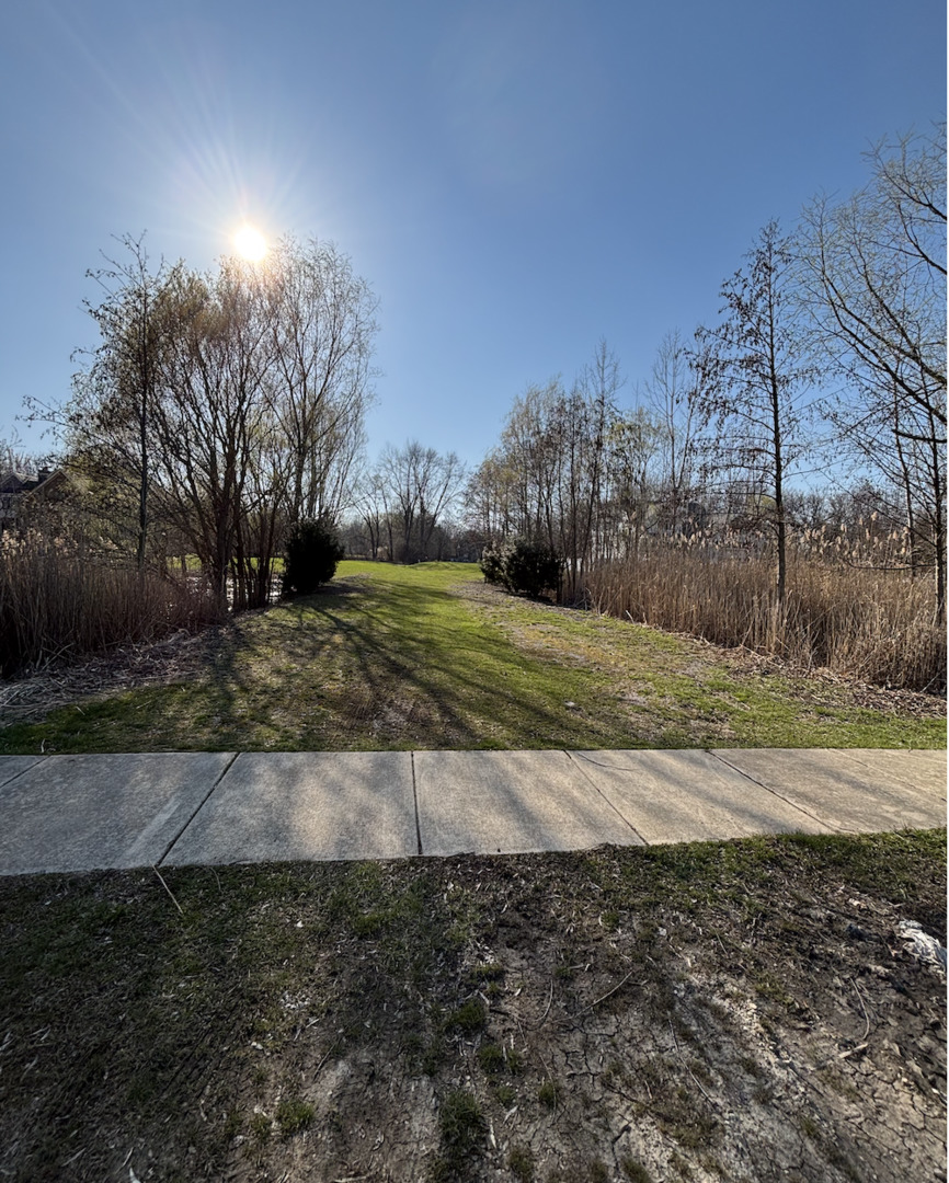 6542 Bentley Avenue, Willowbrook, IL 60527