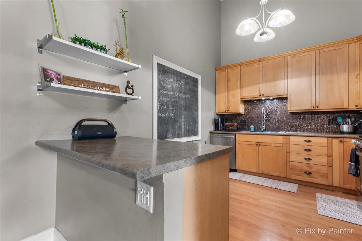 704 Circle Drive #704, Roselle, IL 60172