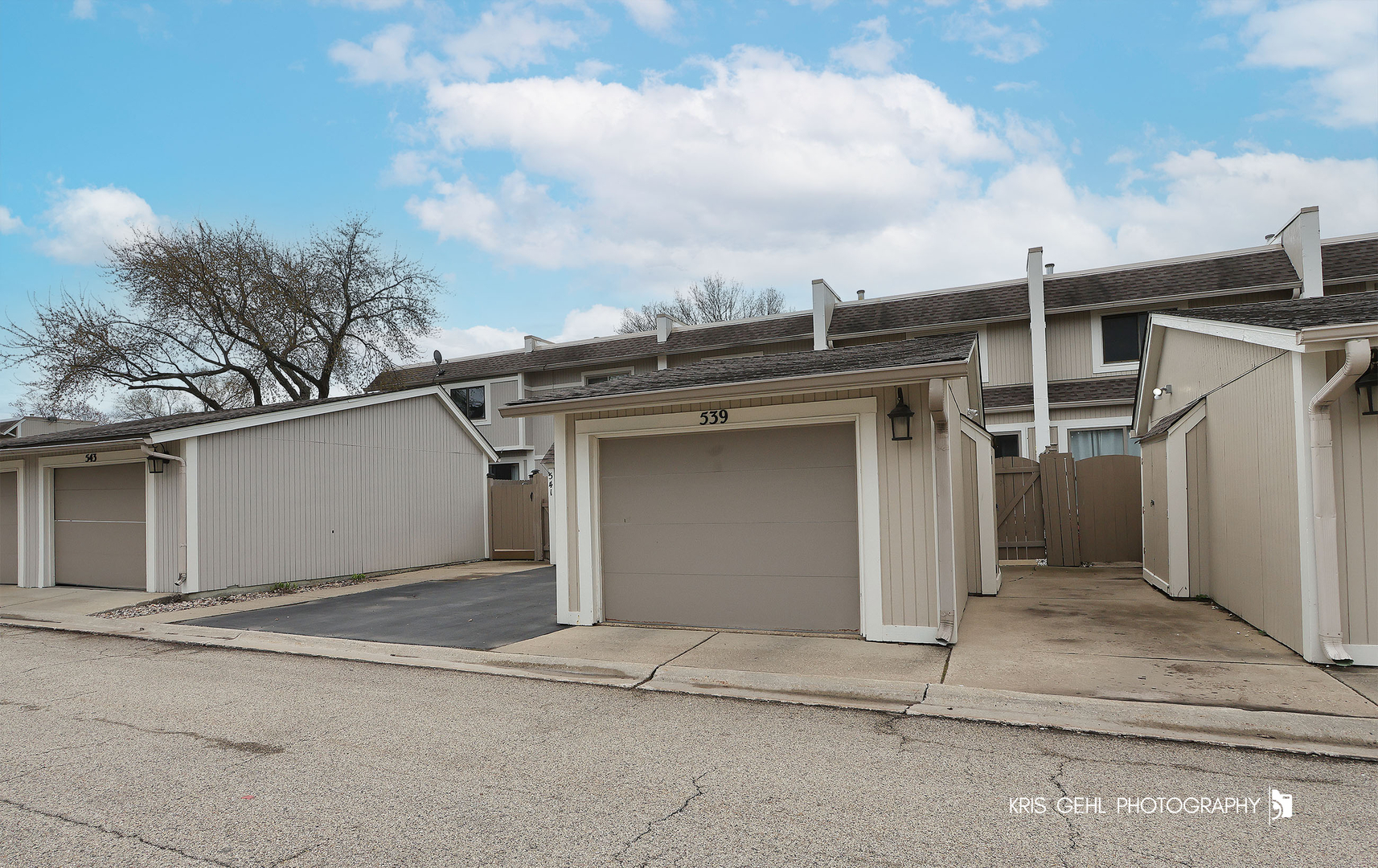 539 Pheasant Court, Grayslake, IL 60030