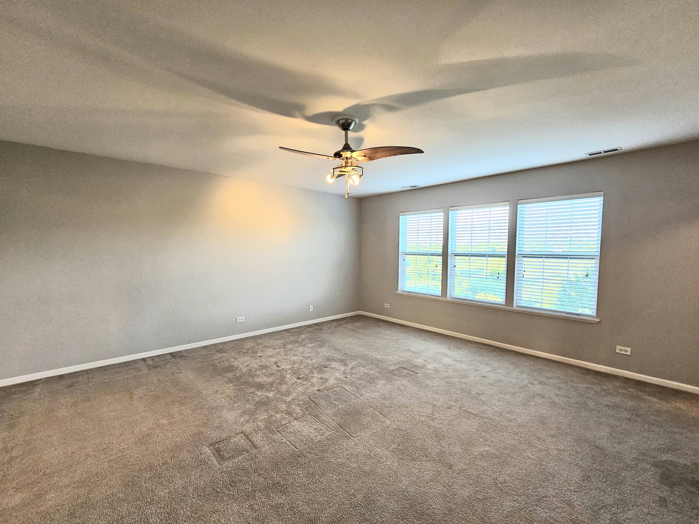 127 Charleston Lane, Gilberts, IL 60136