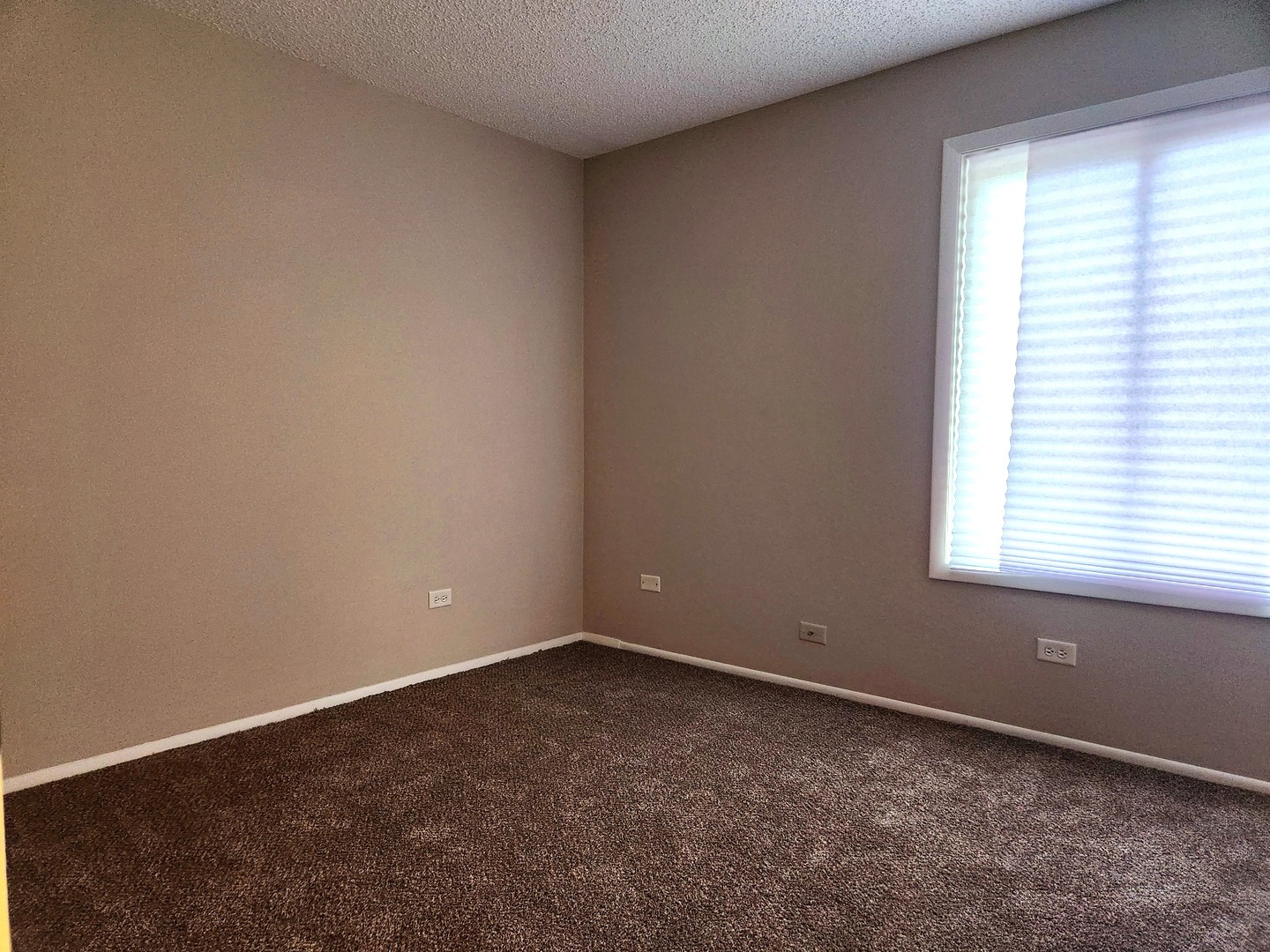 11241 Sycamore Lane #A, Palos Hills, IL 60465