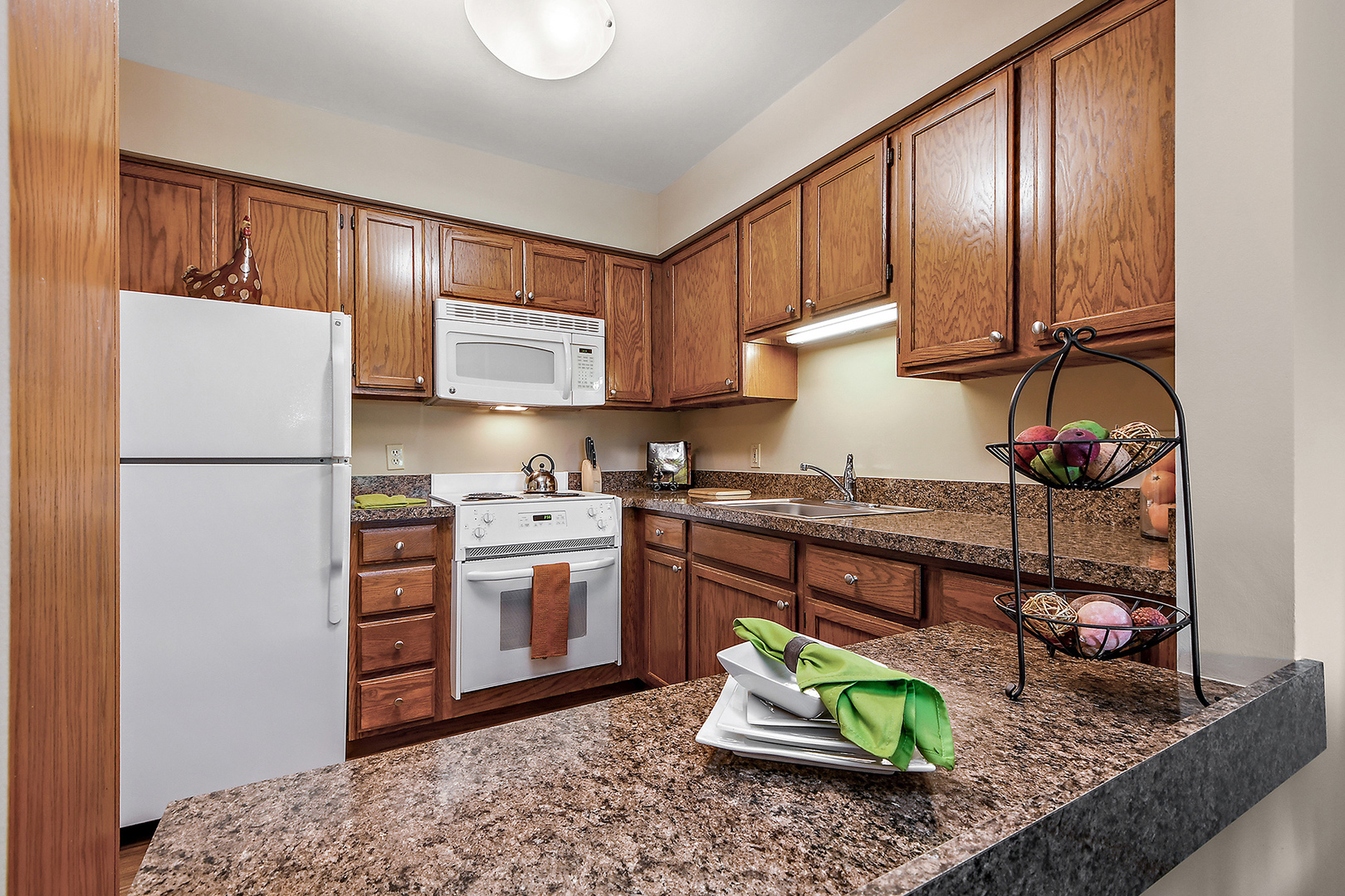 10300 Village Circle Drive #1109, Palos Park, IL 60464