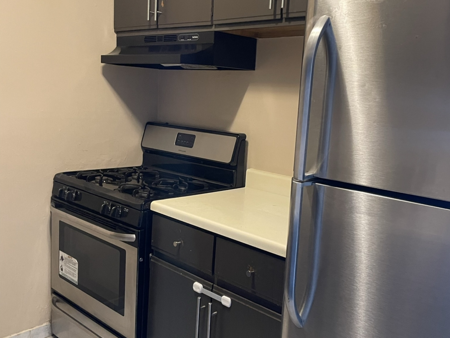 7 E Dundee Quarter Drive #106, Palatine, IL 60074