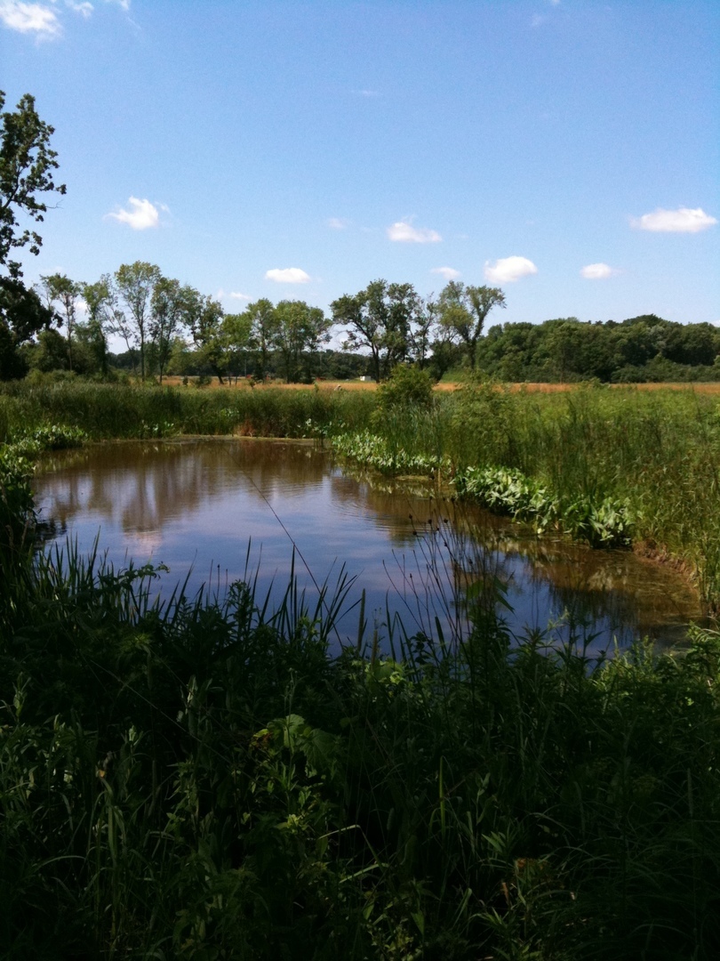 26376 N FARWELL Road, Mettawa, IL 60045