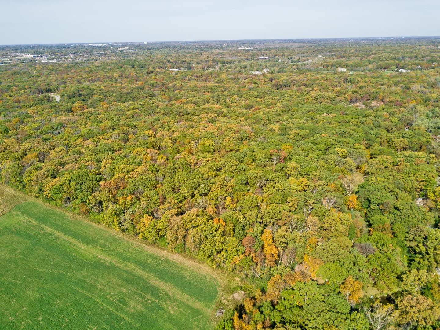 26376 N FARWELL Road, Mettawa, IL 60045