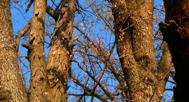 26376 N FARWELL Road, Mettawa, IL 60045