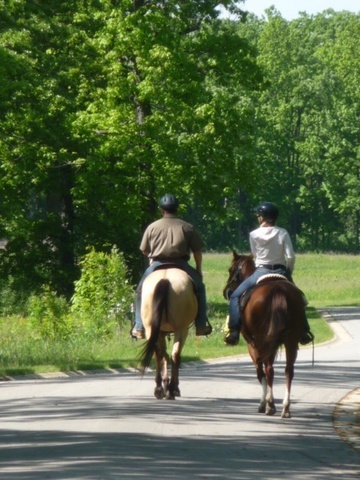 26376 N FARWELL Road, Mettawa, IL 60045