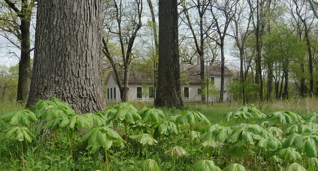 26366 N FARWELL Road, Mettawa, IL 60045