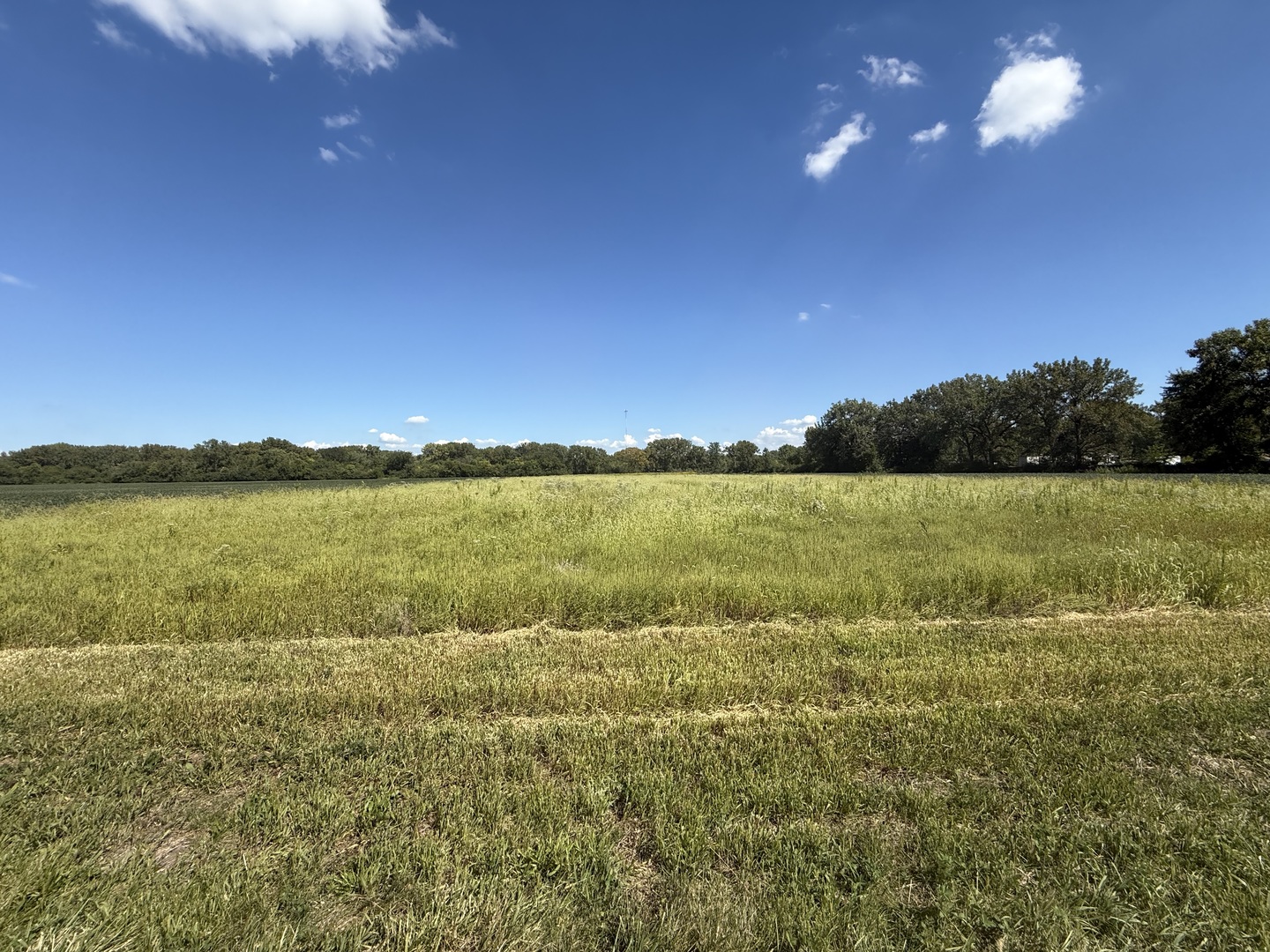 2998 N Dwight Road, Morris, IL 60450