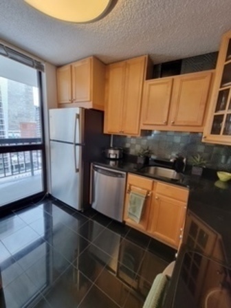 33 W Delaware Place #18B, Chicago, IL 60610