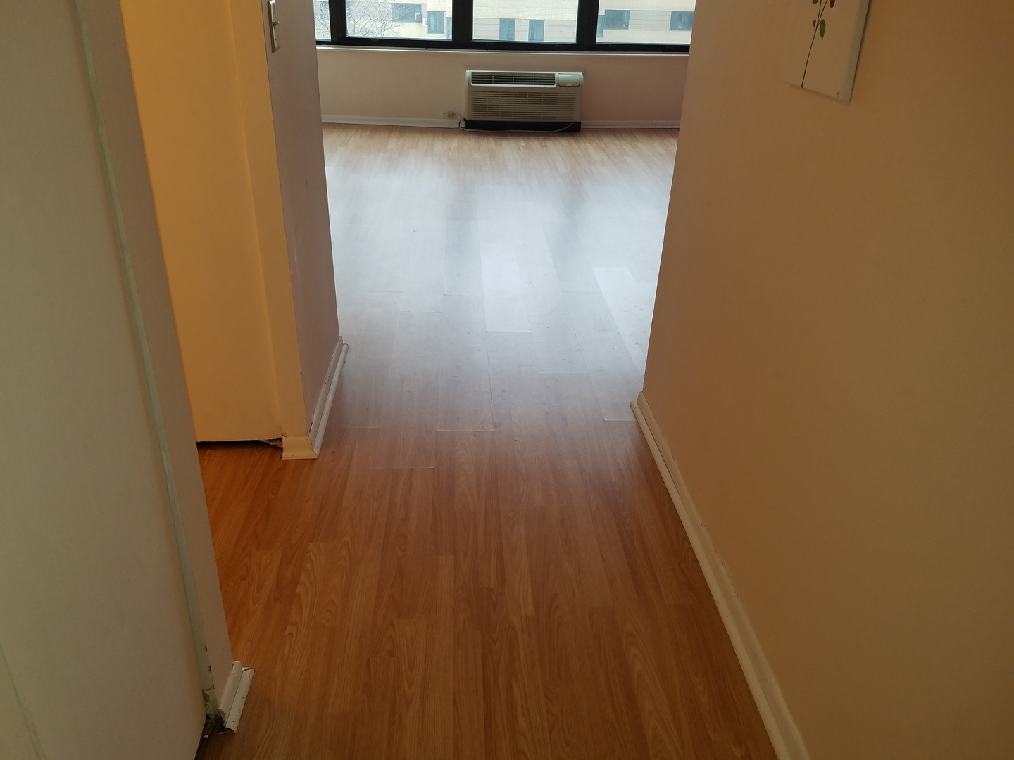5100 N Marine Drive #21C, Chicago, IL 60640