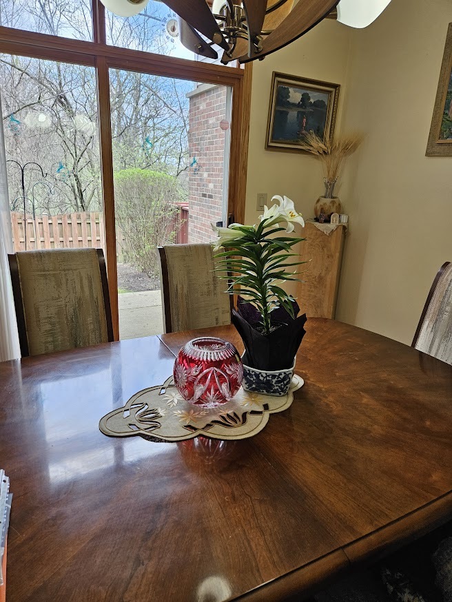 10943 Deblin Lane, Oak Lawn, IL 60453