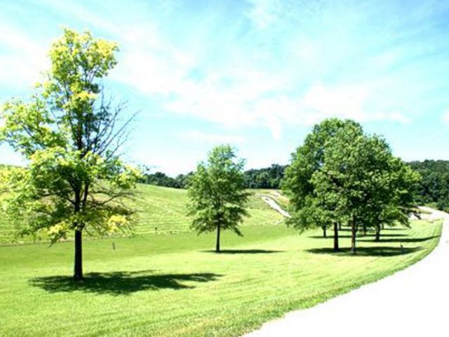Lot 1668 Lakeside Court, Varna, IL 61375