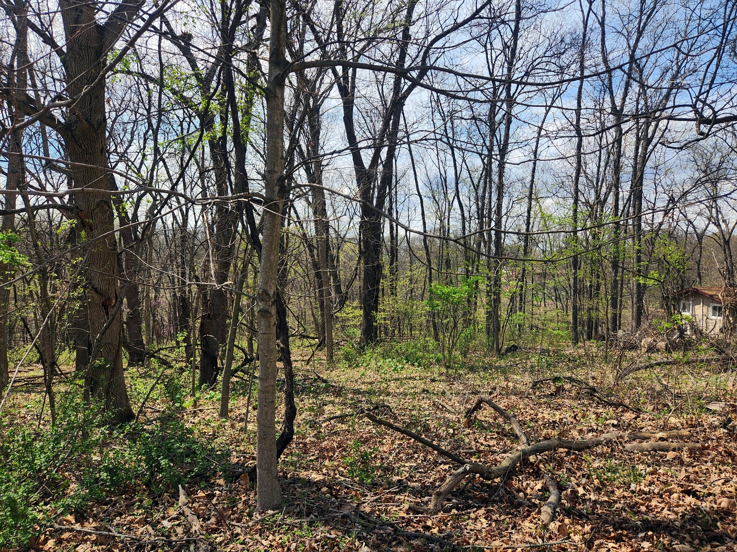 Lot 1668 Lakeside Court, Varna, IL 61375