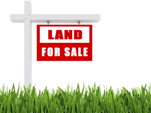 000 W Cermak Road, Braidwood, IL 60408