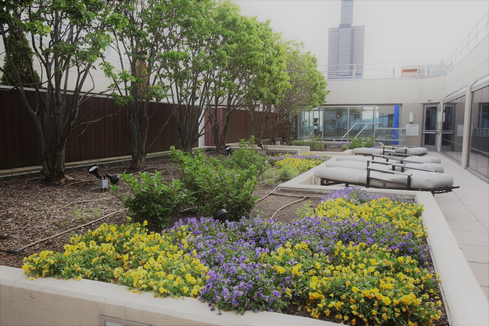 65 E Monroe Street #4508, Chicago, IL 60603