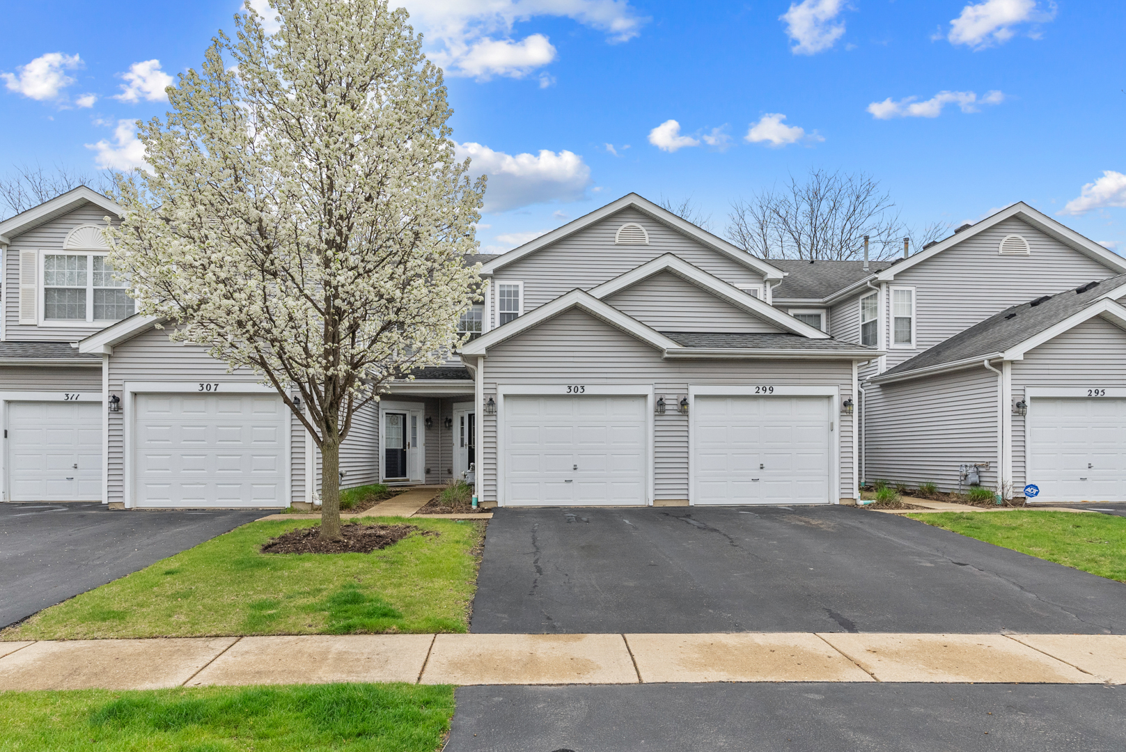303 Glen Leven Court #303, Schaumburg, IL 60194