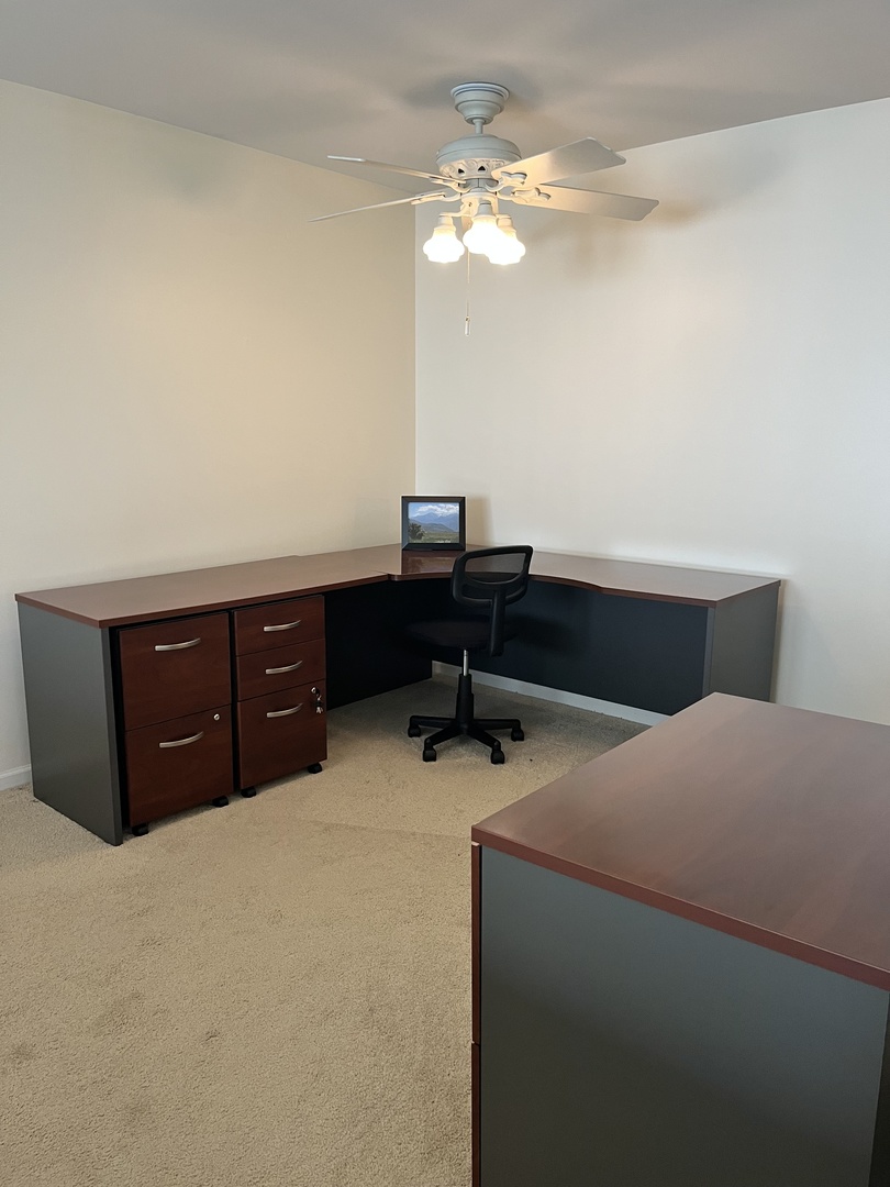 3019 Pleasant Plains Drive #3019, St. Charles, IL 60175