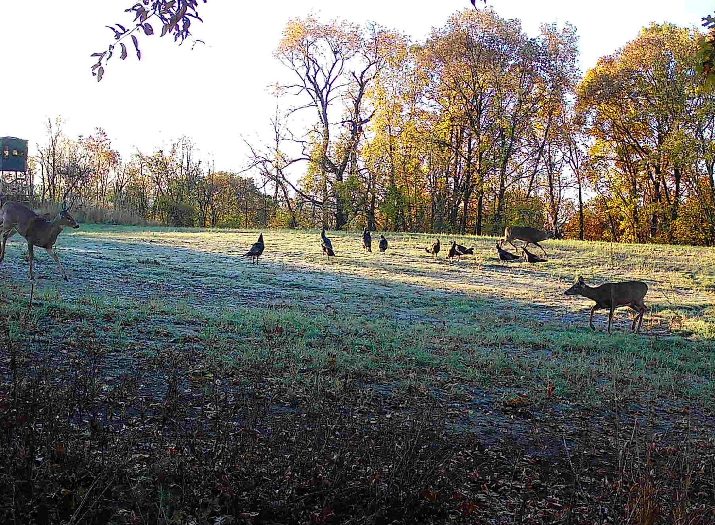 618 Princeton Road, Depue, IL 61322