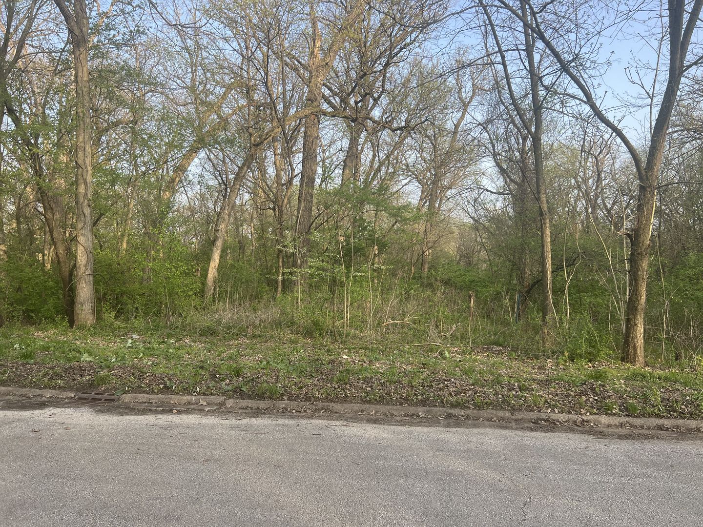 14505 W Wallingford Trail, Manhattan, IL 60442