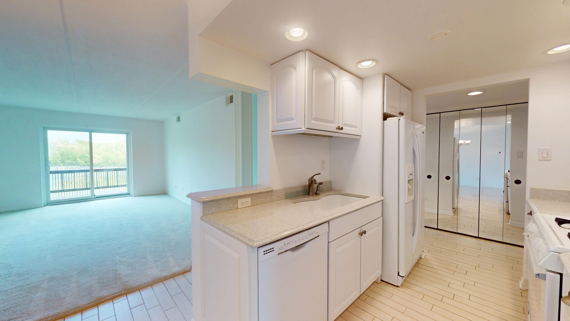 505 Redondo Drive #206, Downers Grove, IL 60516