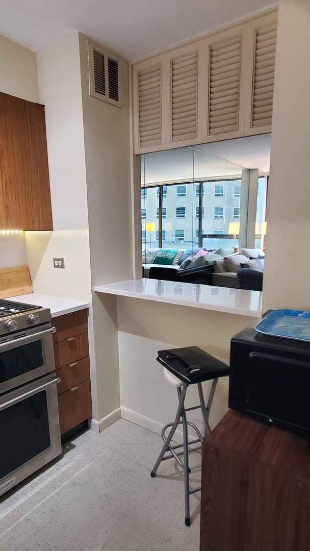2800 N Lake Shore Drive #613, Chicago, IL 60657