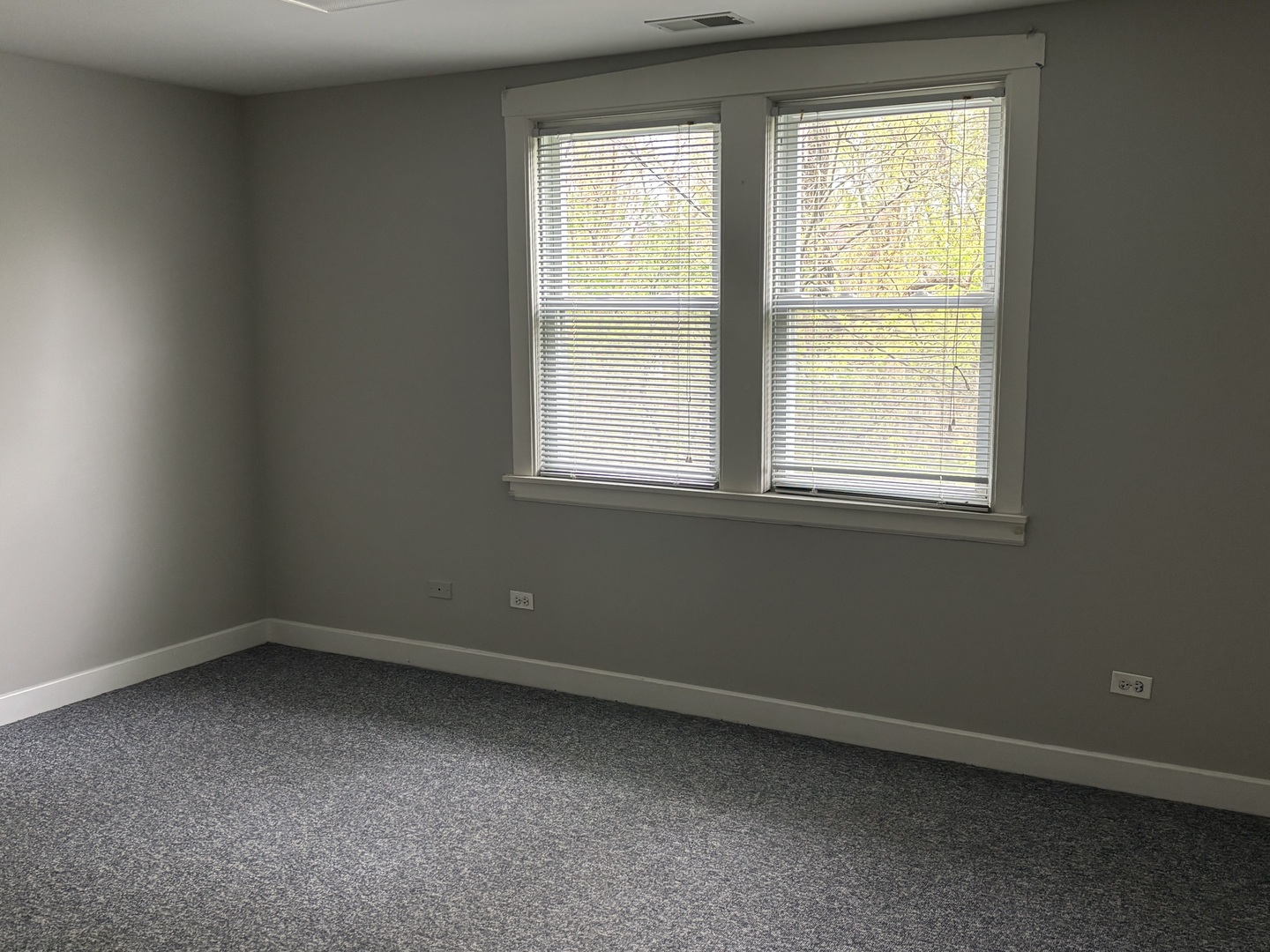 1305 Oswego Road, Naperville, IL 60540
